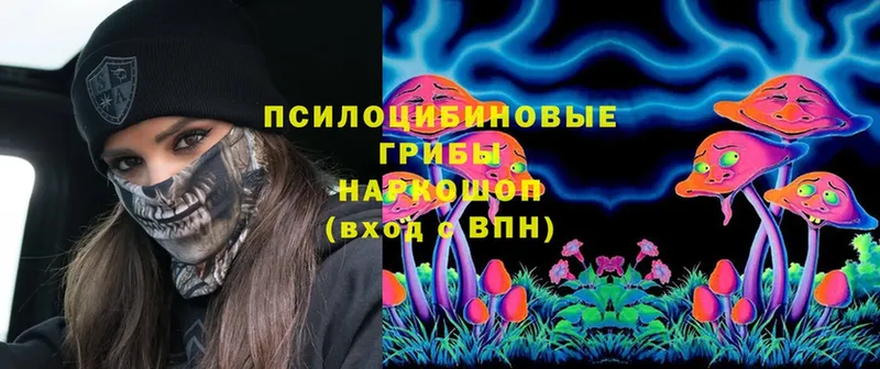 Псилоцибиновые грибы Magic Shrooms  закладки  кракен ONION  Бородино 